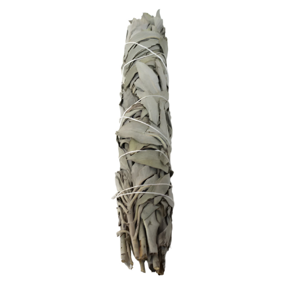 Long White Sage smudge stick natural cleansing herb bundle with earthy aroma used for spiritual purification meditation yoga and energy cleansing rituals.