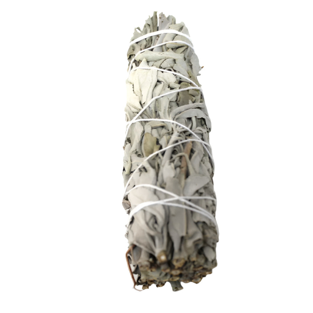 Thick White Sage smudge stick dense natural cleansing herb bundle with strong earthy aroma used for spiritual purification meditation and ritual cleansing.