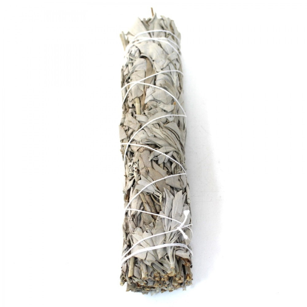 White Sage X Large Size smudge stick natural cleansing herb bundle with strong earthy aroma used for smudging rituals meditation and spiritual purification.