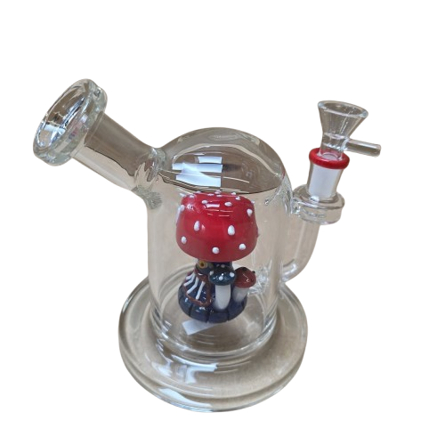 Thick Mushroom Percolator Water Pipe made of durable glass featuring a mushroom-style percolator for smooth, filtered, and cooler smoke experience.